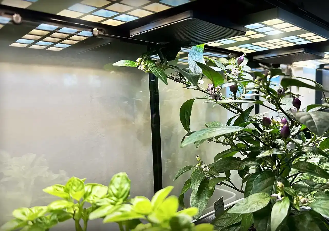 CulitKit_Light_Akerbar2_1280x900