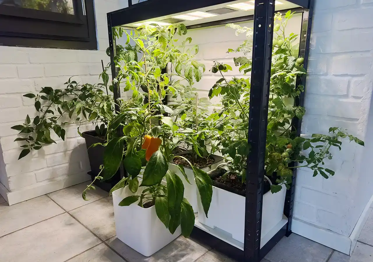 CulitKit_Light_HN-reol_1280x900