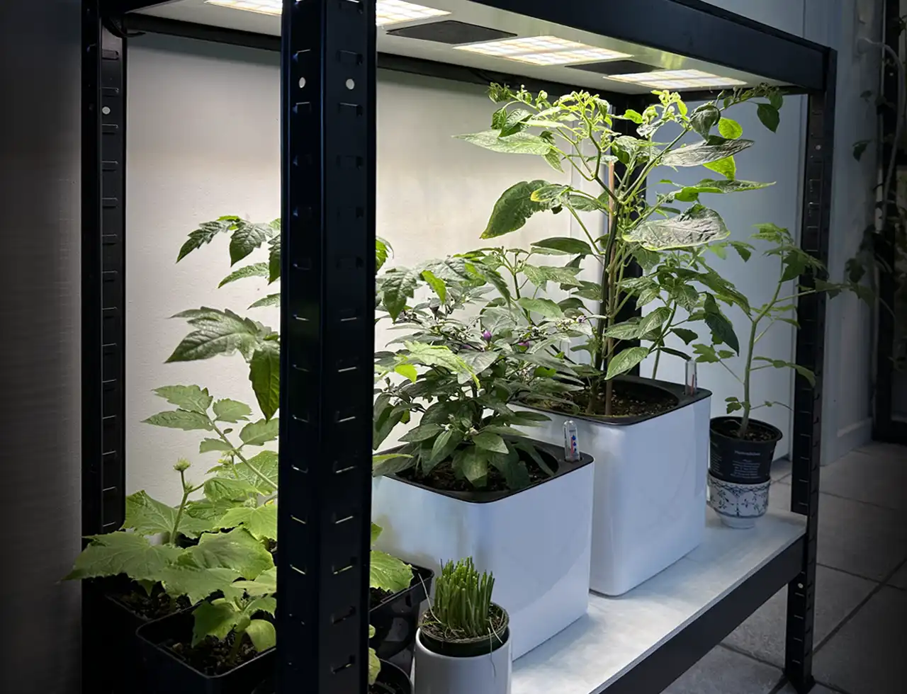 CultiKit_Harald-Nyborg-reol_1-hylder_1280