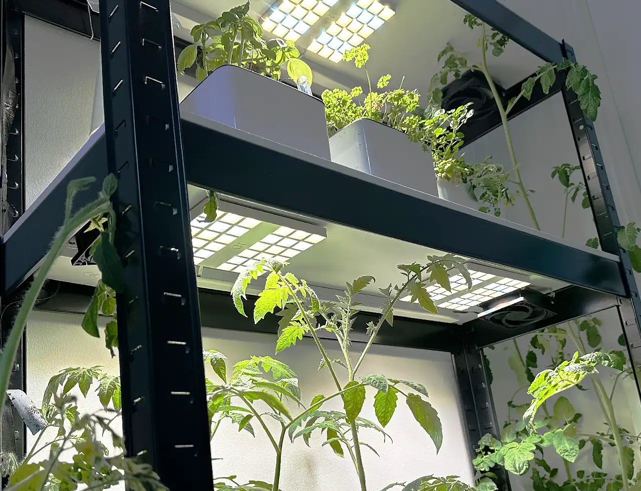 CultiKit_Harald-Nyborg-reol_2-hylder_1280