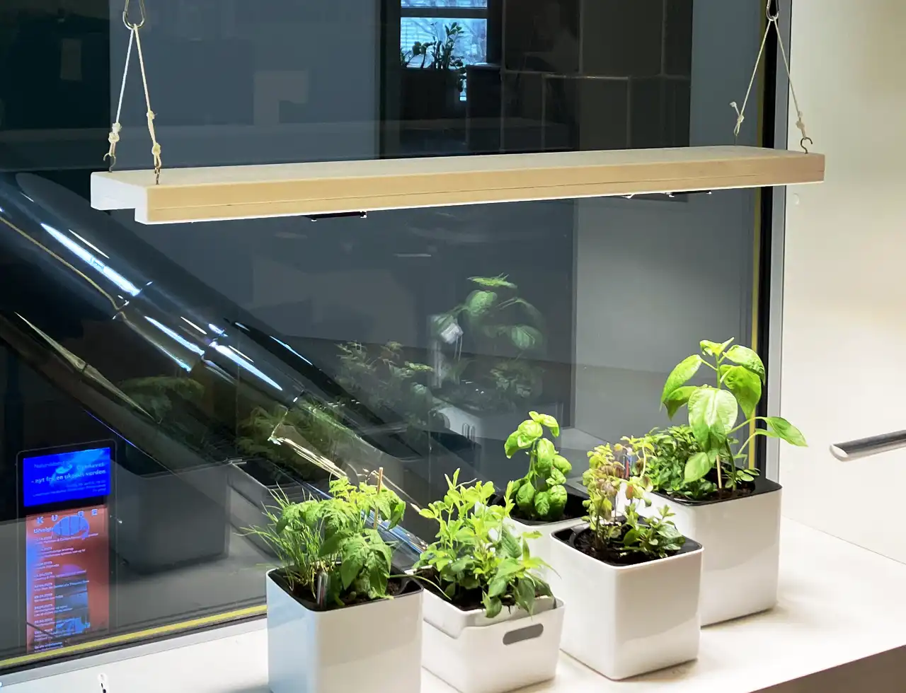 CultiKit_KUBE_Installation