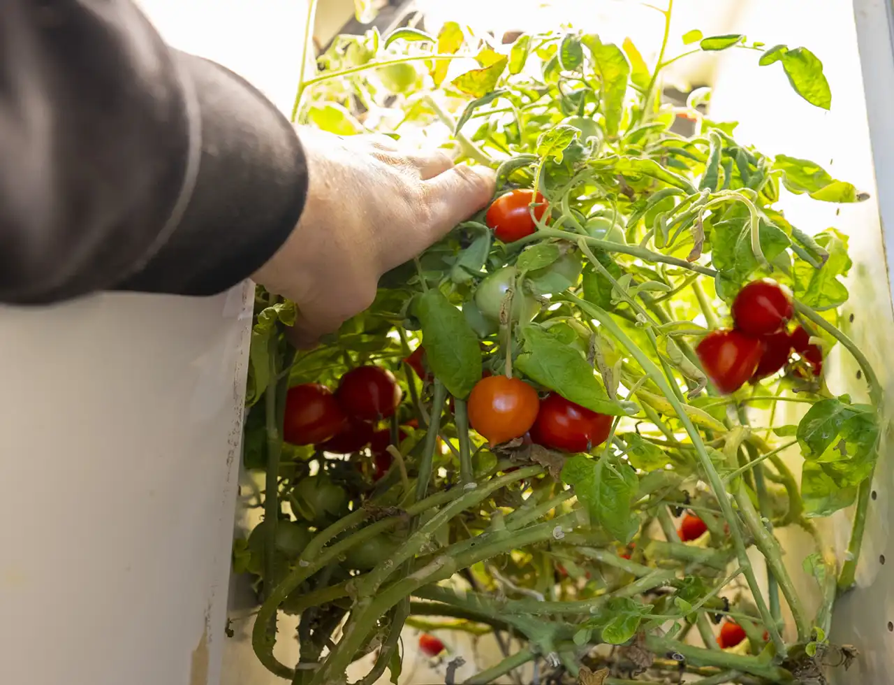 CultiKit_koekken2_1280